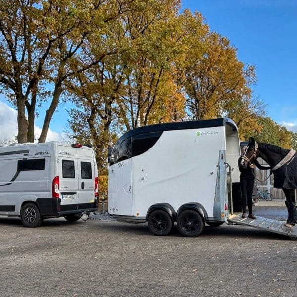 Pössl Summit Shine mit Pferdeanhänger